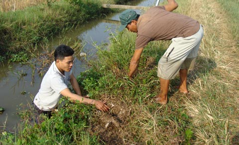 Kỳ th&uacute; chuyện săn chuột &ldquo;khủng&rdquo; ở Th&aacute;i B&igrave;nh