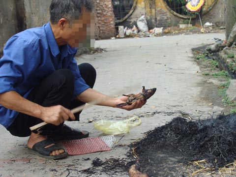 Chuyện săn chuột vui như hội