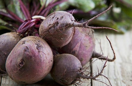 si&ecirc;u vi tr&ugrave;ng, ung thư, bệnh gout, &aacute;p huyết cao, củ cải đường
