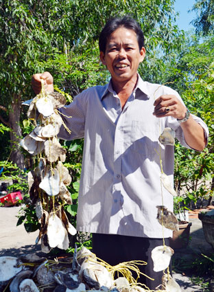 Anh Nguyễn Văn Nhàn tận dụng vỏ hàu và dây thừng làm dây nuôi hàu thay cho việc đóng cọc xuống lòng sông. Ảnh: ĐỖ HOÀNG