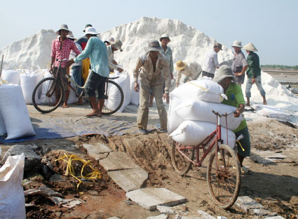 Diêm dân xã An Ngãi (huyện Long Điền) đóng muối vao bao để đưa ra thị trường.