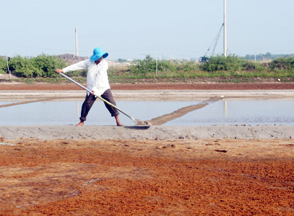 Diêm dân xã An Ngãi (huyện Long Điền) vệ sinh và be bờ ruộng muối chuẩn bị cho vụ muối mới bắt đầu từ tháng 11 âm lịch.