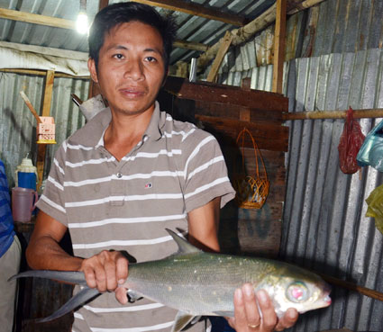 Kỹ sư Hà khoe con cá măng vừa gầy giống thành công tại trại nuôi cá giống trên sông Chà Và.