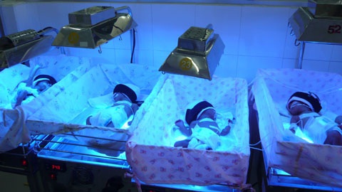  Phương pháp thu tinh ống nghiệm đã có mặt ở Việt Nam được mười mấy năm.