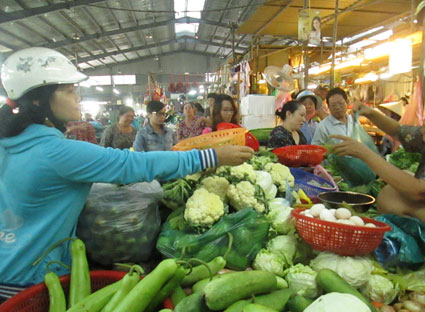 Nguồn cung rau, củ, quả về chợ dồi dảo nên giá rẻ. Trong ảnh: Chọn mua rau, củ tại chợ Vũng Tàu.