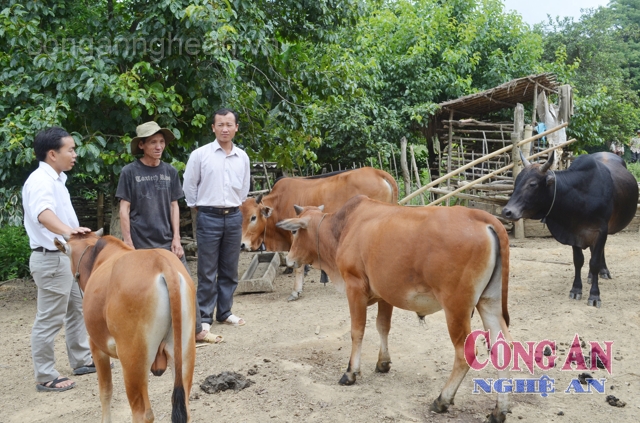 Đội viên Hạ Bá Lỳ - Phó Chủ tịch UBND xã Huồi Tụ,                   huyện Kỳ Sơn (ngoài cùng bên trái) hướng dẫn nhân dân phương pháp chăm sóc đàn gia súc