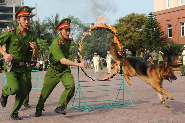 Huấn luyện chó nghiệp vụ tại cảnh sát cơ động Công an Nghệ An 