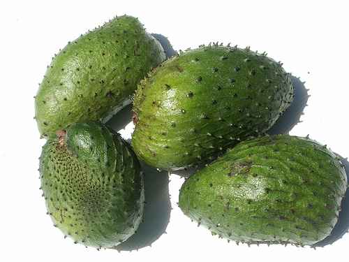 Đừng xem mãng cầu xiêm là vị thuốc cứu cánh điều trị bệnh ung thư. Ảnh minh họa