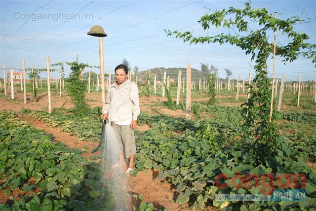 Anh Hồ Phúc Hoàng bên mô hình kinh tế của mình