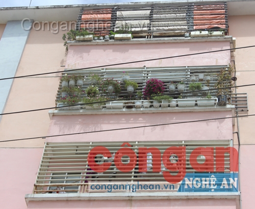 Những chậu hoa treo thế này có thể rơi bất cứ lúc nào