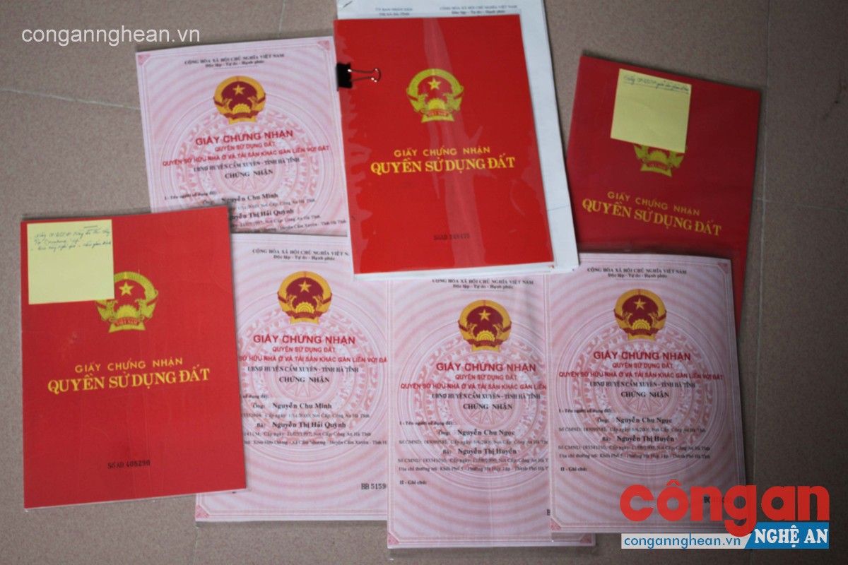 Các bìa đỏ giả của Đặng Nam Hải