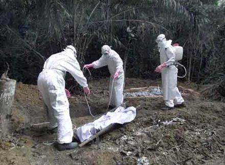 Dịch Ebola đang lây lan mạnh tại nhiều quốc gia  - Nguồn Internet