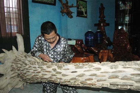 Một cây trầm kiểng để trang trí - thú chơi trầm kiểng hiện đang được giới đại gia ưa chuộng.