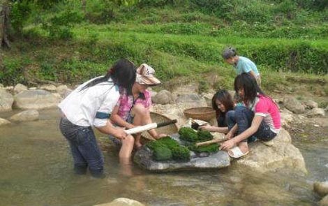 Người dân đang đập rêu ở suối.