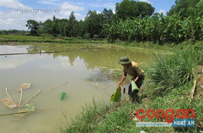 Hàng ngày, ông Nguyễn Văn Ba vẫn chăm chỉ  với công việc của mình
