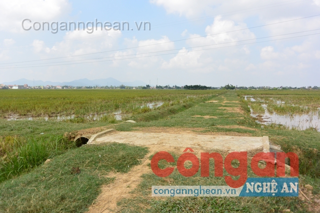 Hiện trường nơi Vương hãm hiếp T.