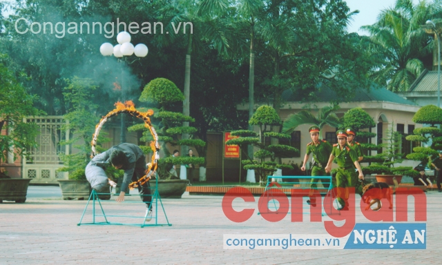 Lực lượng Quản lý, huấn luyện và sử dụng chó nghiệp vụ thường xuyên tập luyện, sẵn sàng chiến đấu