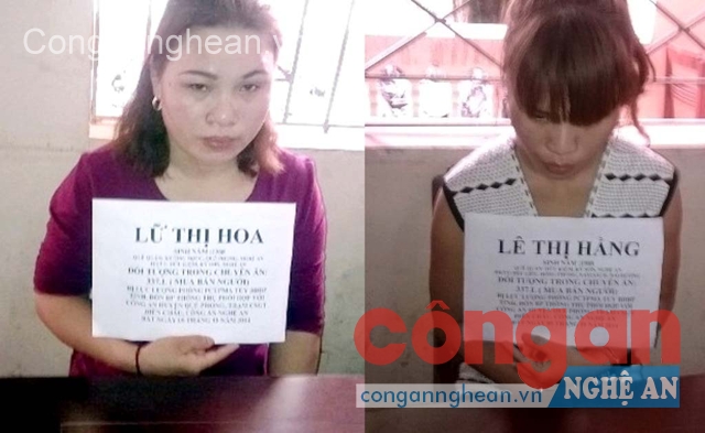   Các đối tượng bị bắt giữ trong Chuyên án