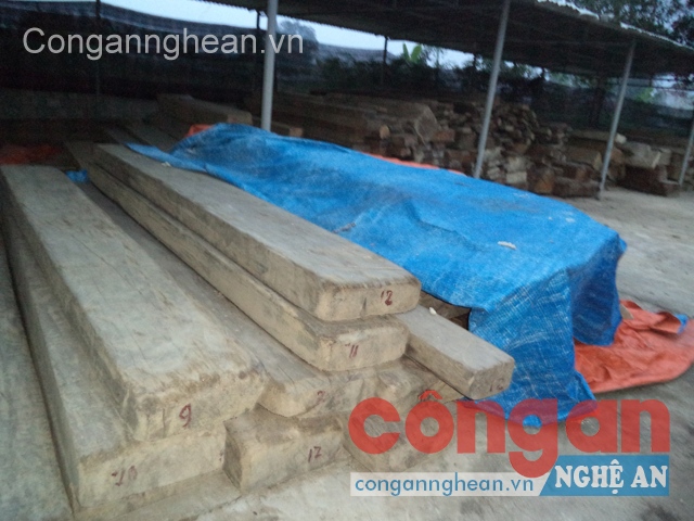 Số gỗ vi phạm bị bắt giữ, xử lý trong thời gian qua