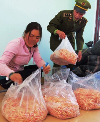  Mực khô làm bằng sắn và cao su bị thu giữ