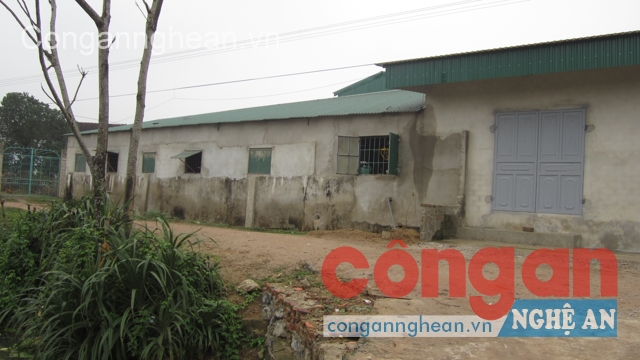 Khu vực chuồng trại chăn nuôi lợn của gia đình ông Ngoan