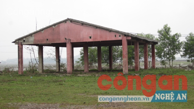 Nhà xưởng bỏ hoang, không có thiết bị máy móc  của Công ty gỗ