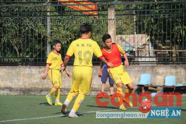 Các cầu thủ luyện tập rất chăm chỉ