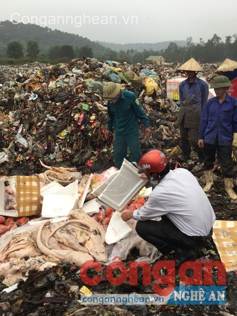 Tiêu huỷ số nội tạng thu giữ được trong vụ việc