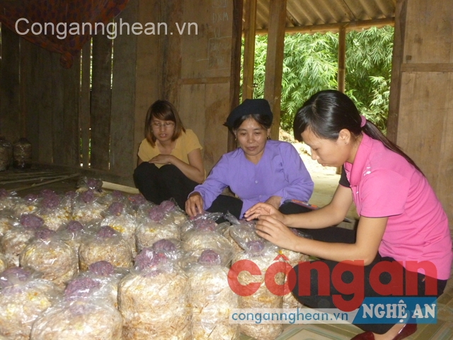 Tạo điều kiện cho phụ nữ tiếp xúc với các ngành nghề để họ chủ động tạo dựng cuộc sống