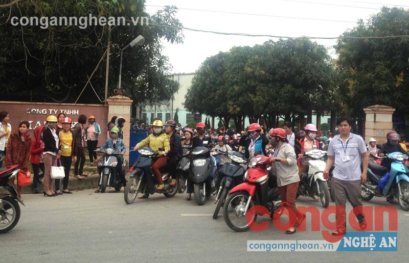 Nhiều cử nhân chấp nhận đi làm công nhân vì không xin được việc làm đúng với trình độ, ngành nghề được đào tạo