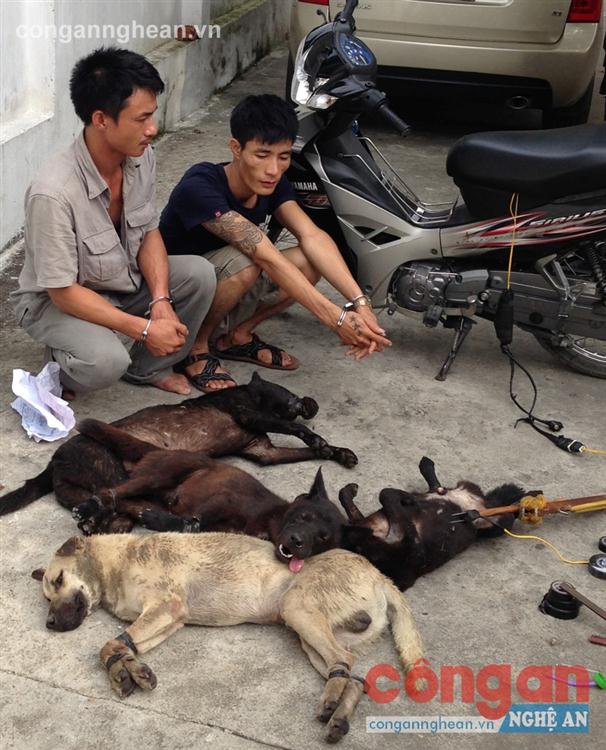 Hai đối tượng Trần Tố Nguyên và Phan Nguyễn Trực cùng toàn bộ tang vật, phương tiện gây án