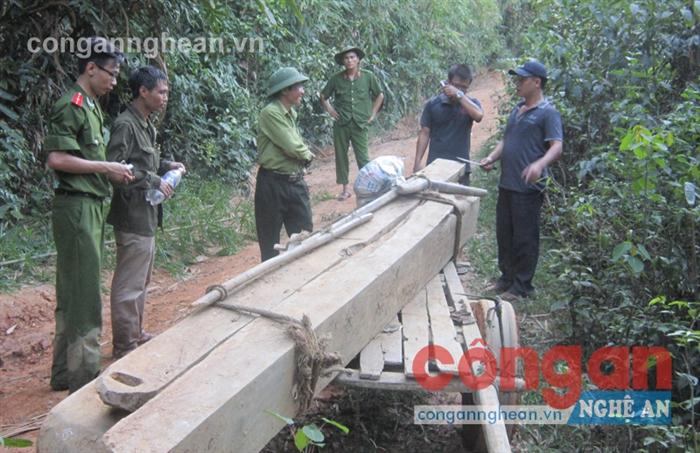 Đối tượng đầu nậu bỏ lại xe bò chở gỗ trốn vào rừng
