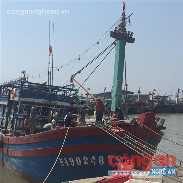 Ngư dân xã Tiến Thủy, huyện Quỳnh Lưu                                          vận chuyển cá lên bờ