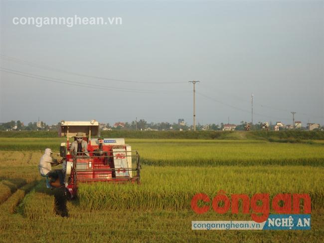 Đảm bảo an toàn, chất lượng vật tư nông nghiệp                                         giúp người nông dân yên tâm sản xuất