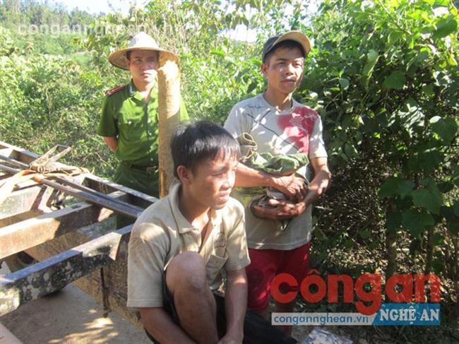 Hai đối tượng vận chuyển gỗ lậu thuê                 trong vụ việc 