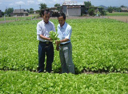 Mô hình trồng rau an toàn của hội viên HND xã Tân Hải, huyện Tân Thành.