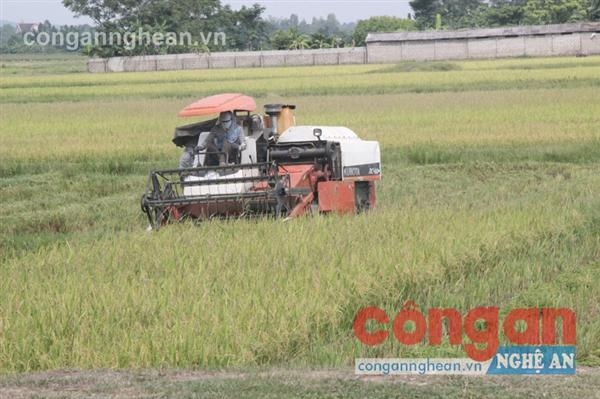 Thực hiện bảo hiểm nông nghiệp tạo điều kiện                         để người nông dân canh tác, sản xuất theo hướng hiện đại hóa