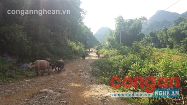 Xây dựng đường giao thông     là một trong những khó khăn của các xã miền núi