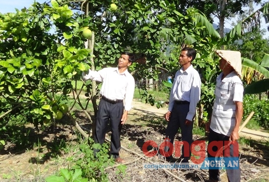 Các kinh tế tập thể cần rất nhiều sự hỗ trợ của các cấp chính quyền.