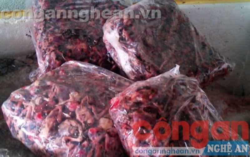350kg chim én không nguồn gốc sẽ lên bàn nhậu nếu không bị  phát hiện
