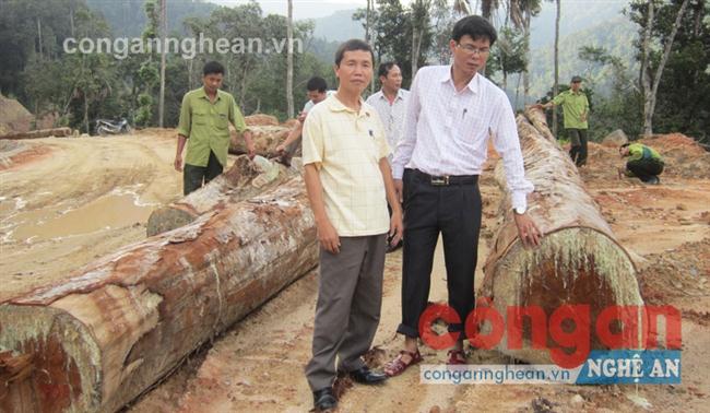 Tác giả (trái) và đoàn kiểm tra thị sát tại hiện trường