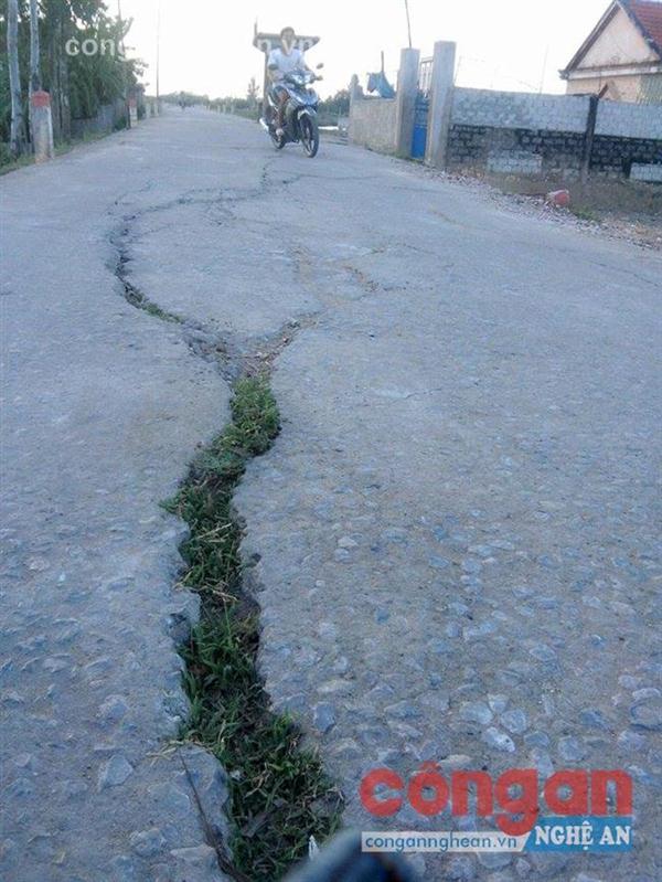 Những vết nứt lớn trên đê xuất hiện đã lâu nhưng chưa được khắc phục