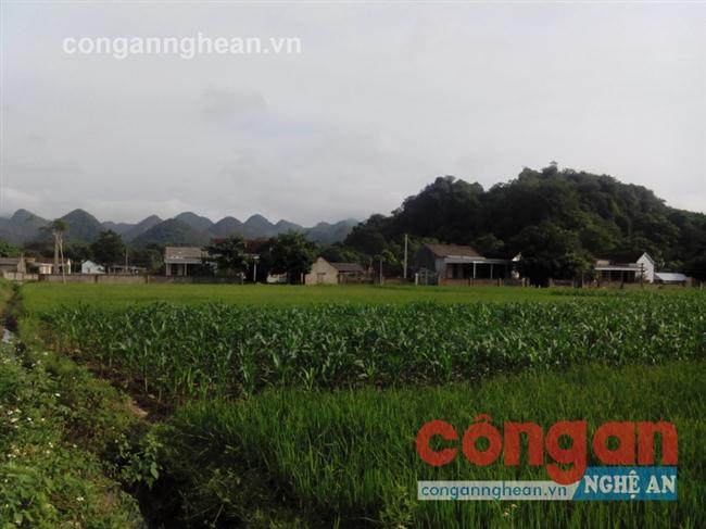  Đã hơn nửa thế kỷ nhưng 35 ha đất hộ dân ở 2 xóm Mỹ Tân và Mỹ Đình của các vẫn chưa được cấp bìa đỏ