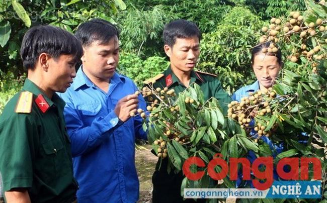 Các trí thức trẻ đưa tiến bộ KH-KT về áp dụng trong chăm sóc cây trồng                                     cho người dân vùng khó khăn