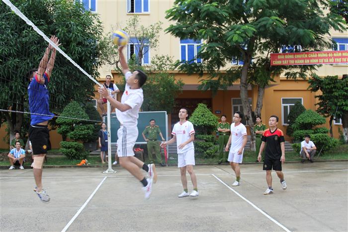 Các đội thi đấu ở nội dung bóng chuyền