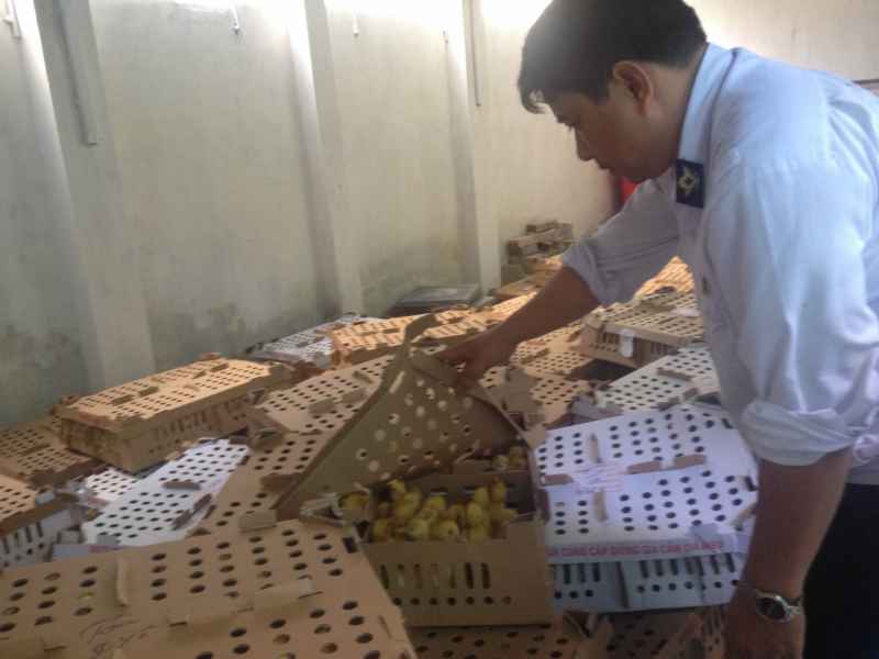 Lực lượng chức năng kiểm tra số hàng đang tạm giữ
