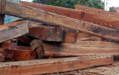 Cần xử lý nghiêm hành vi vận chuyển lâm sản trái phép (Ảnh minh họa)