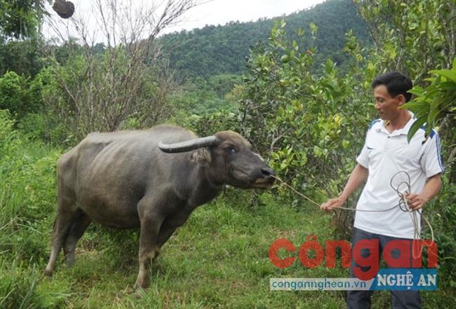 Anh Vững với “đầu cơ nghiệp” sống sót ốm yếu                                                  sau khi bị chém 