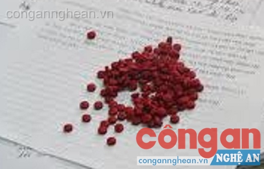 Tang vật vụ án tại Công an TP Vinh