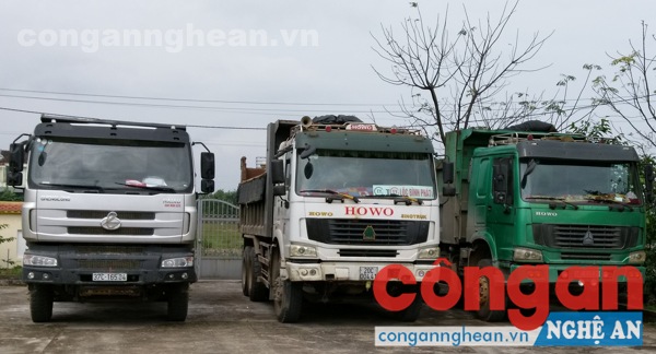 Các phương tiện vi phạm bị tạm giữ